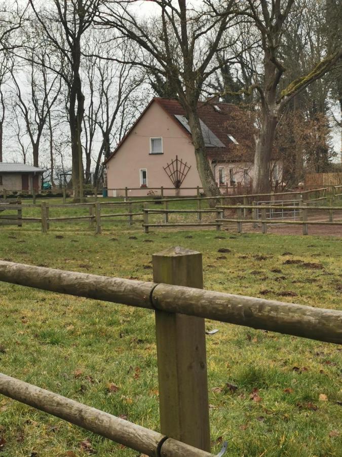 Ferienwohnung Am Stadtrand Garz Ruegen Экстерьер фото